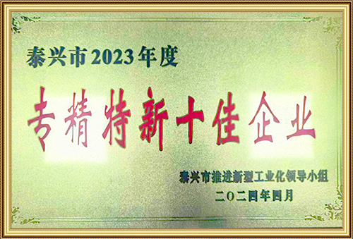 專精特新十佳企業(yè)